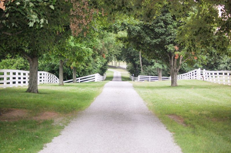Gravel Path Installation